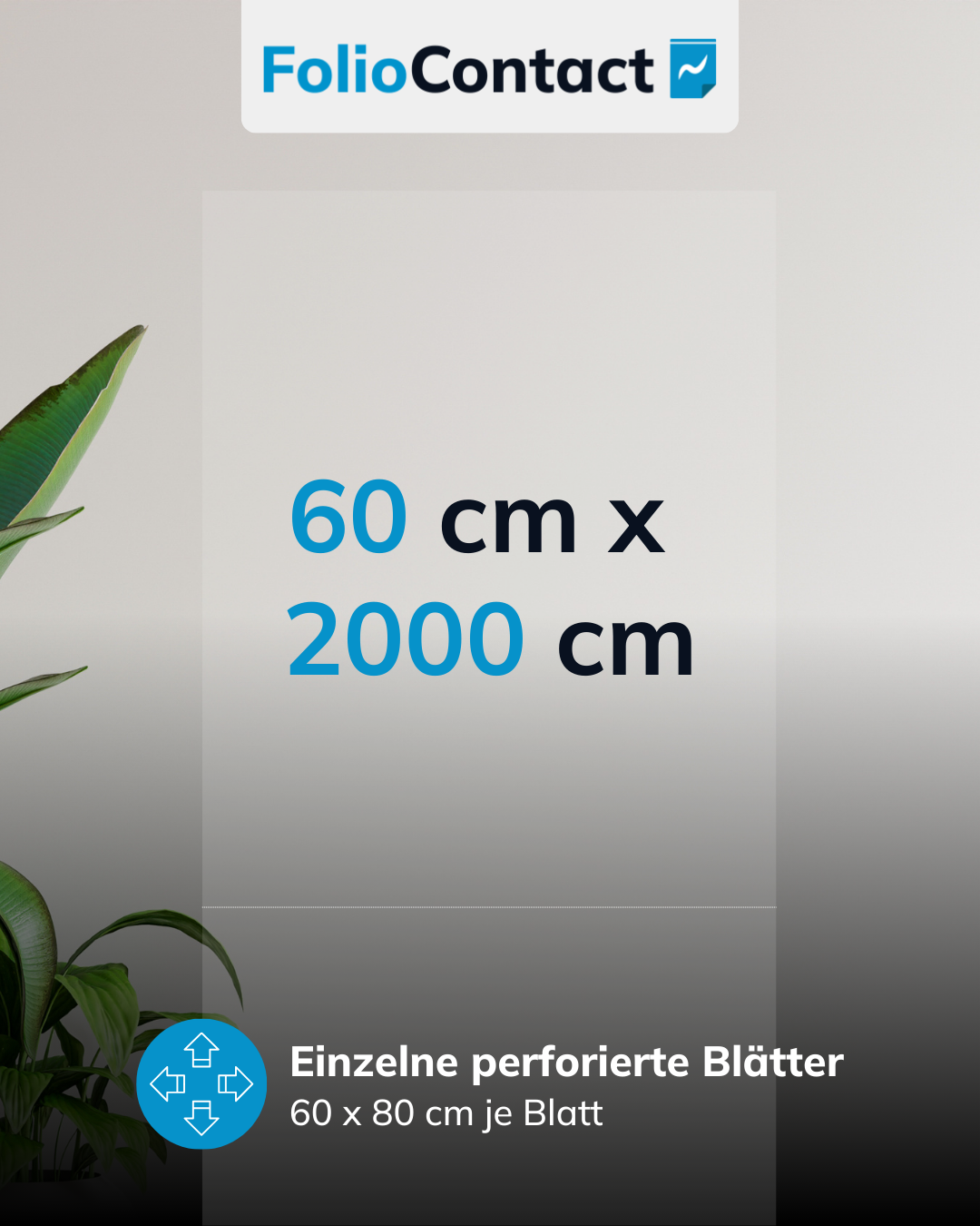 FolioContact Wandschutzfolie – diskreter Schutz für glatte Oberflächen